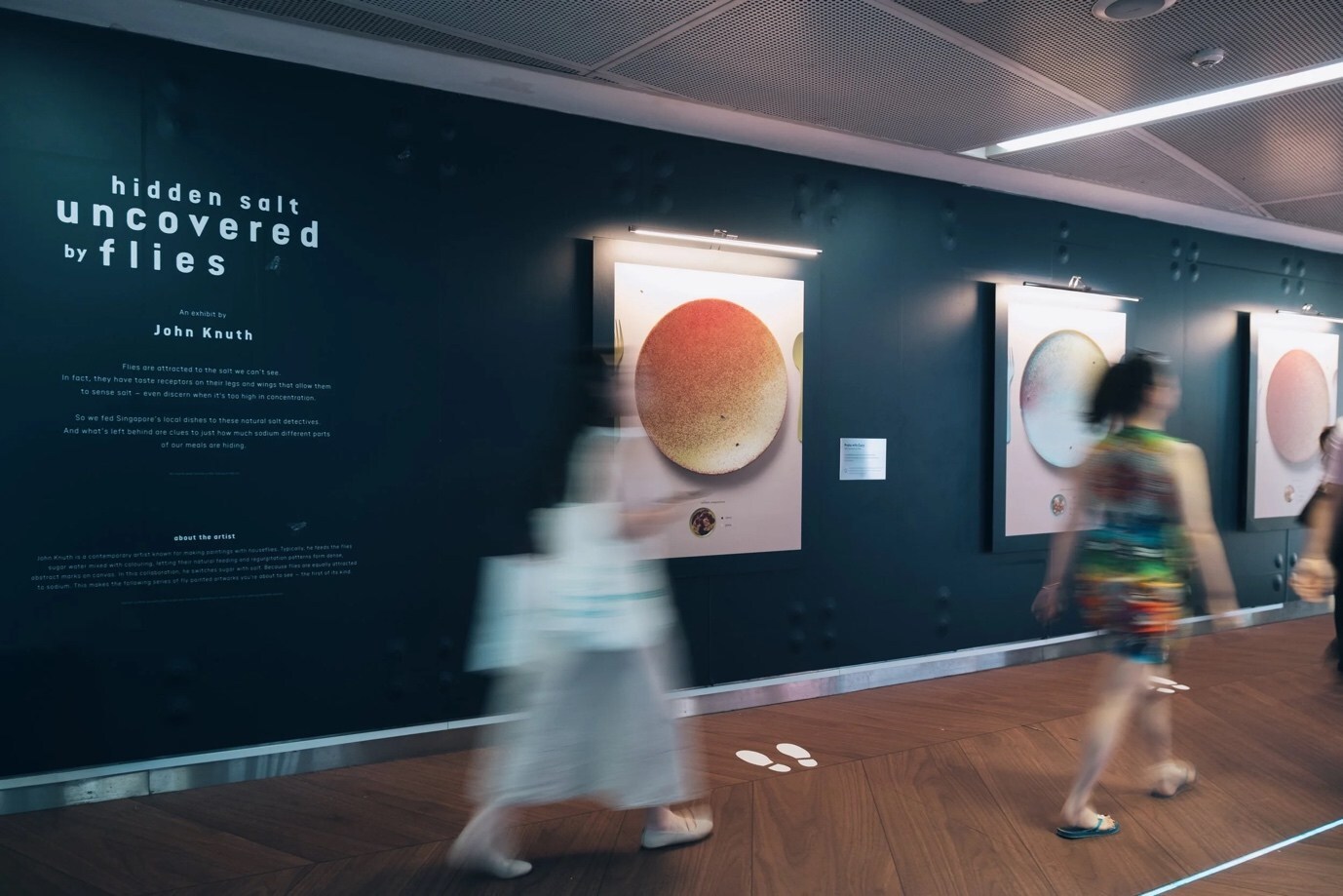 the gallery hidden salt