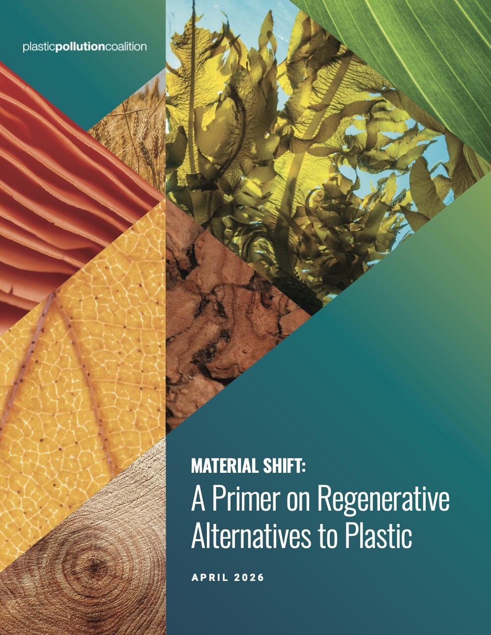 New Report Shows How Regenerative Material Solutions Can Help End Plastic Pollution regen materials report cover ppc
