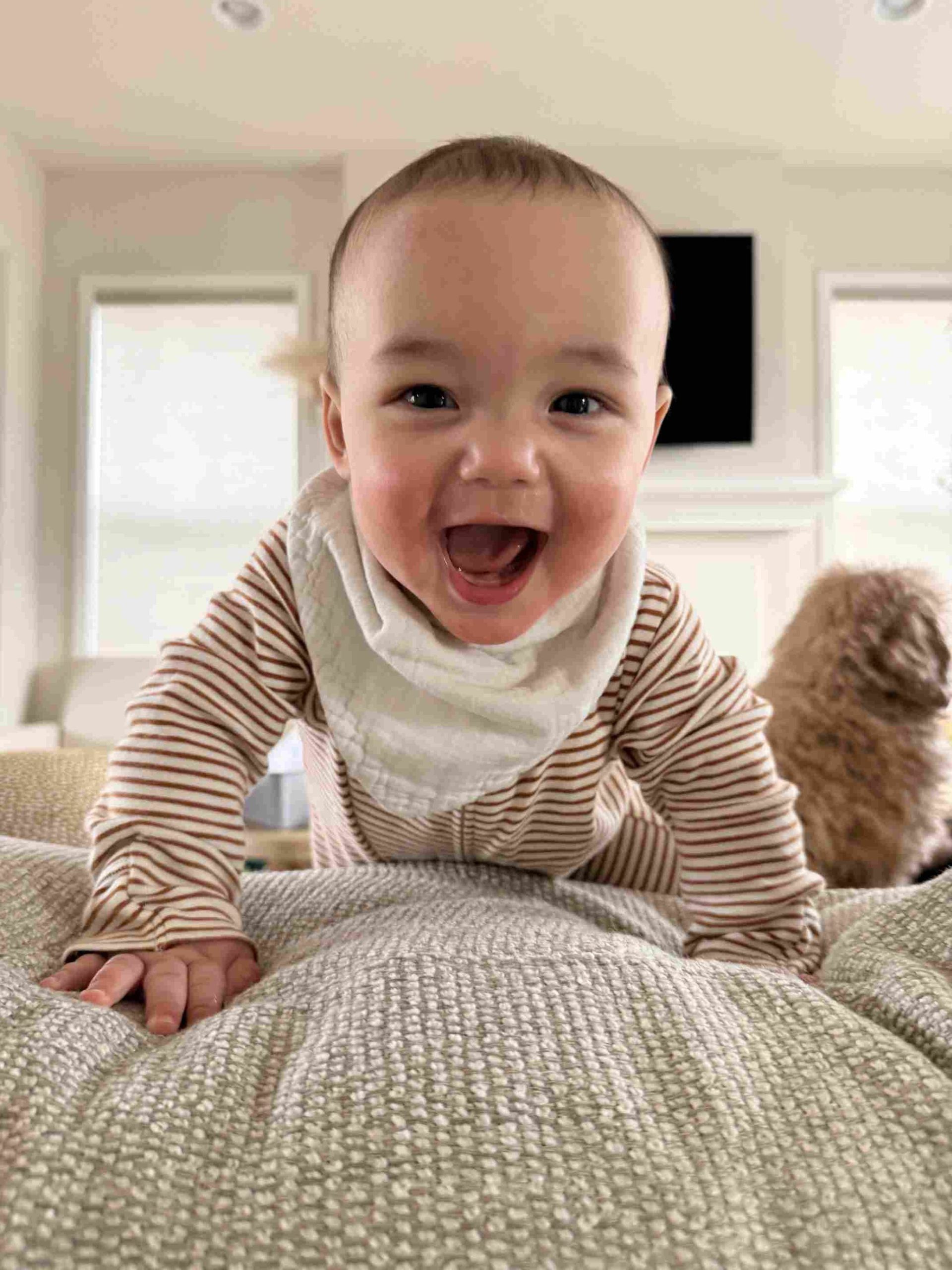 gerber cameron chung gerber baby 2026