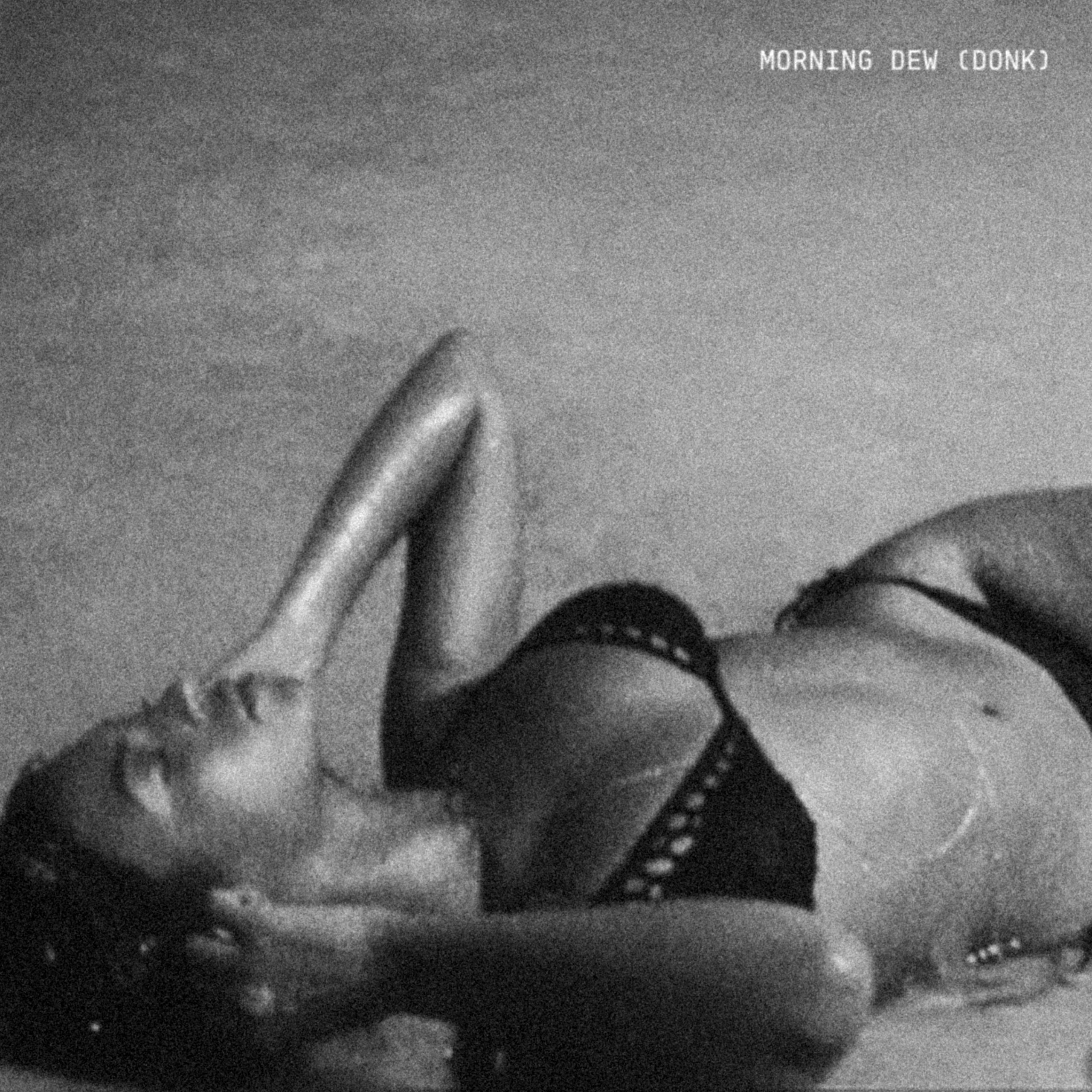 morning dew donk beyonce album cover
