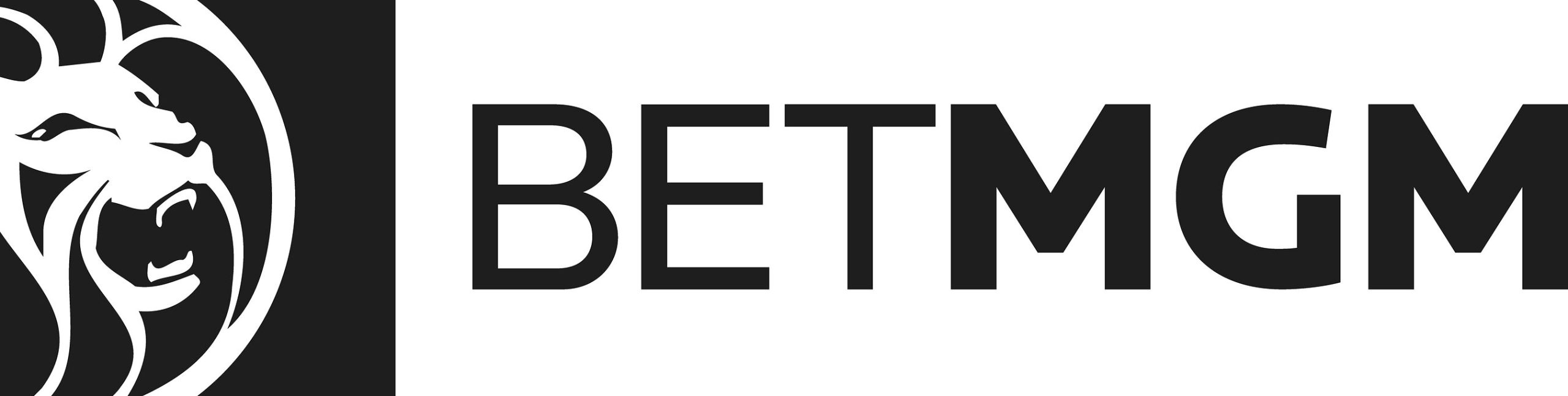 betmgm horizontal black solid 2 1